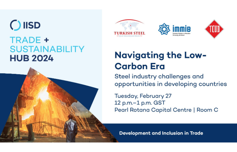 Navigating the Low Carbon Era: Steel Industry Challenges and Opportunities in developing countries